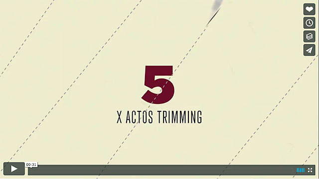 12 Days of Indicia animation - Click to play